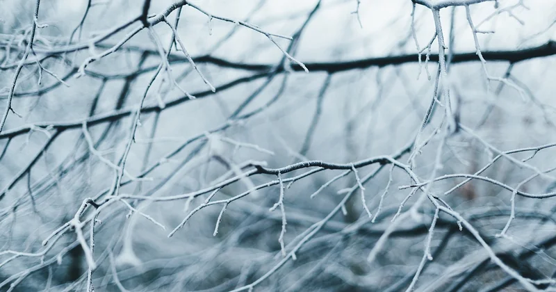 Comparatif avec d'autres branches : où se situe la CCN 66 ?