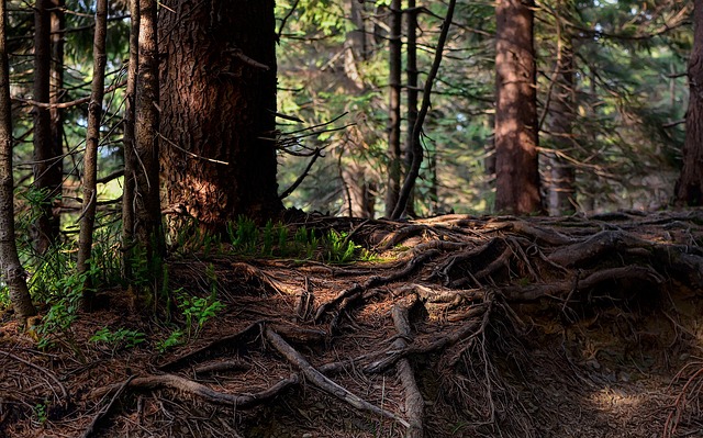 préavis : définition, durée et modalités à connaître en 2025
