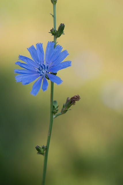 Sarl associé : tout savoir sur les droits et obligations en 2025